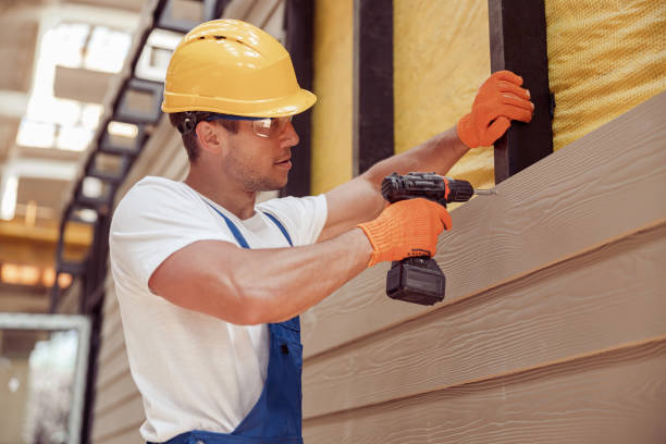 Best Siding Painting and Refinishing  in Forest Heights, MD